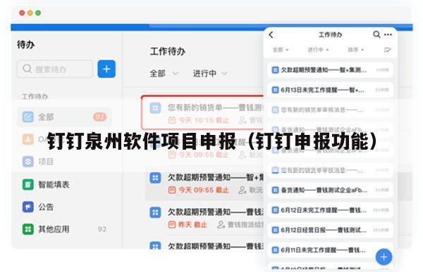 钉钉泉州软件项目申报（钉钉申报功能）