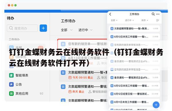 钉钉金蝶财务云在线财务软件（钉钉金蝶财务云在线财务软件打不开）