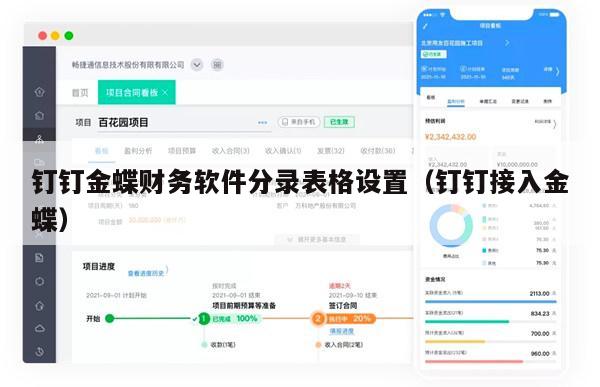 钉钉金蝶财务软件分录表格设置（钉钉接入金蝶）