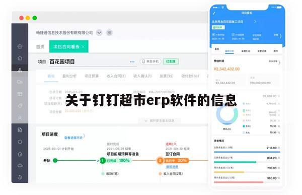 关于钉钉超市erp软件的信息