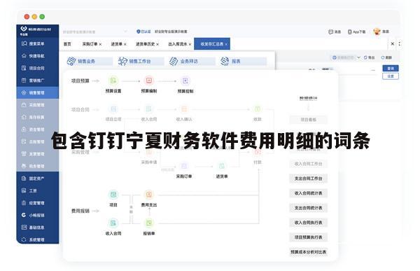 包含钉钉宁夏财务软件费用明细的词条
