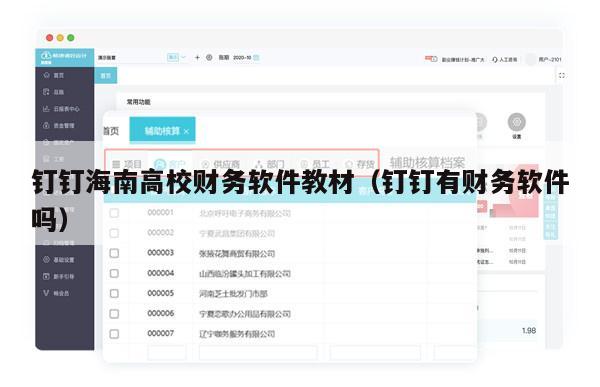 钉钉海南高校财务软件教材（钉钉有财务软件吗）
