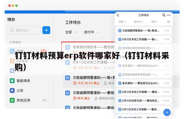 钉钉材料预算erp软件哪家好（钉钉材料采购）