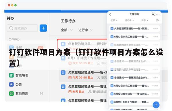 钉钉软件项目方案（钉钉软件项目方案怎么设置）