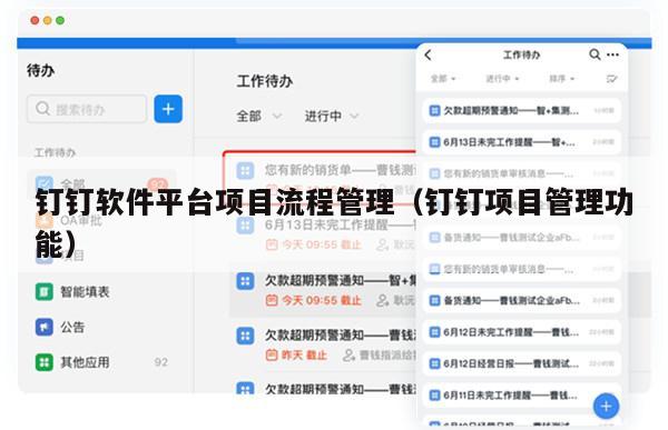 钉钉软件平台项目流程管理（钉钉项目管理功能）
