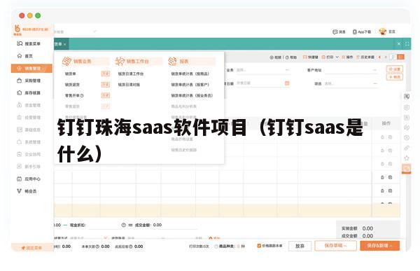 钉钉珠海saas软件项目（钉钉saas是什么）