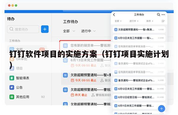 钉钉软件项目的实施方案（钉钉项目实施计划）