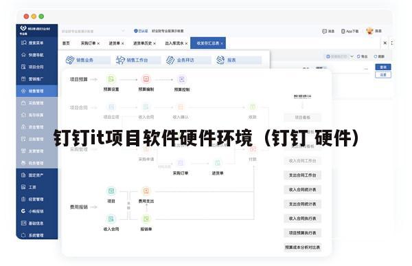 钉钉it项目软件硬件环境（钉钉 硬件）