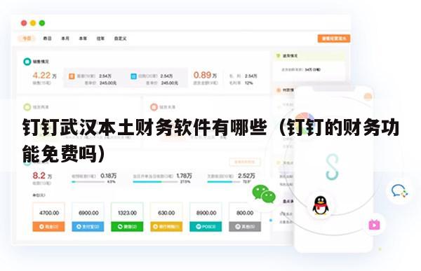 钉钉武汉本土财务软件有哪些（钉钉的财务功能免费吗）