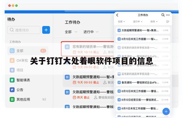 关于钉钉大处着眼软件项目的信息