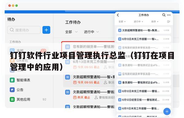 钉钉软件行业项目管理执行总监（钉钉在项目管理中的应用）