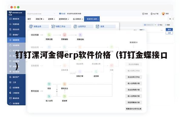 钉钉漯河金得erp软件价格（钉钉金蝶接口）
