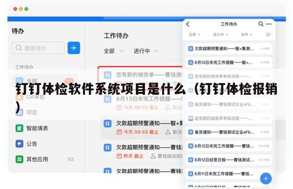钉钉体检软件系统项目是什么（钉钉体检报销）