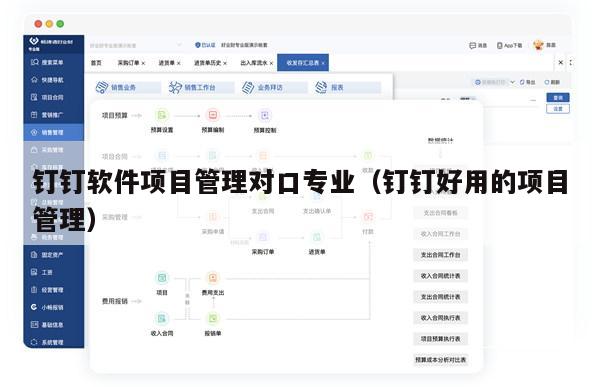 钉钉软件项目管理对口专业（钉钉好用的项目管理）