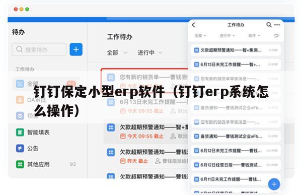 钉钉保定小型erp软件（钉钉erp系统怎么操作）