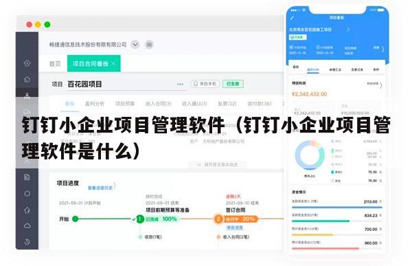 钉钉小企业项目管理软件（钉钉小企业项目管理软件是什么）