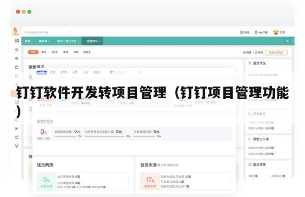 钉钉软件开发转项目管理（钉钉项目管理功能）