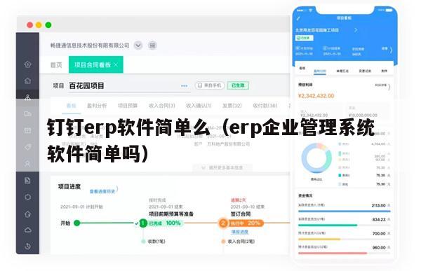 钉钉erp软件简单么（erp企业管理系统软件简单吗）