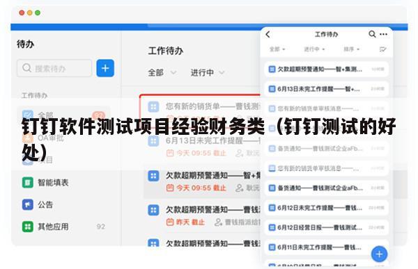 钉钉软件测试项目经验财务类（钉钉测试的好处）