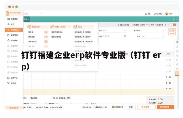 钉钉福建企业erp软件专业版（钉钉 erp）