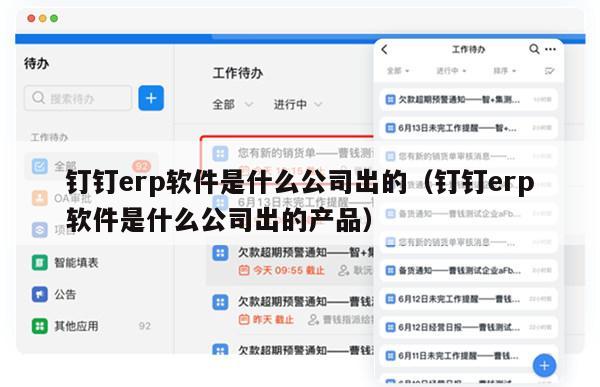 钉钉erp软件是什么公司出的（钉钉erp软件是什么公司出的产品）