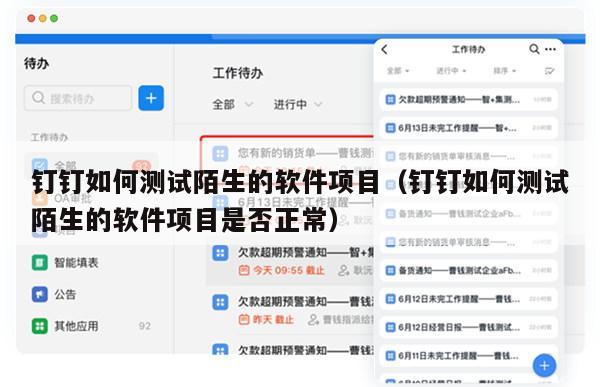 钉钉如何测试陌生的软件项目（钉钉如何测试陌生的软件项目是否正常）