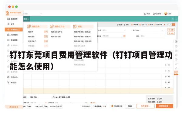 钉钉东莞项目费用管理软件（钉钉项目管理功能怎么使用）