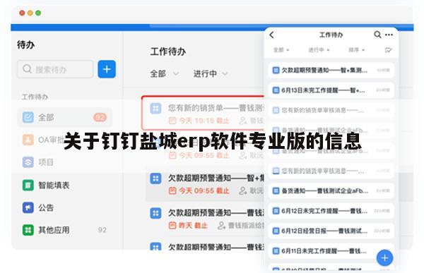 关于钉钉盐城erp软件专业版的信息