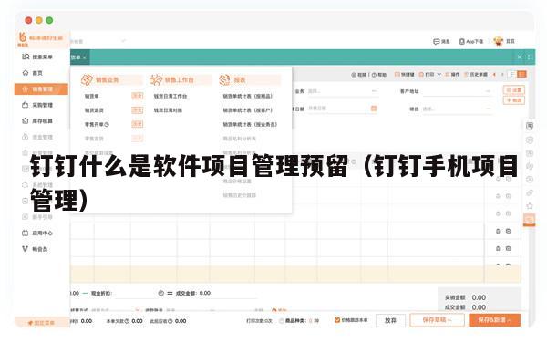 钉钉什么是软件项目管理预留（钉钉手机项目管理）