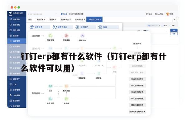 钉钉erp都有什么软件（钉钉erp都有什么软件可以用）