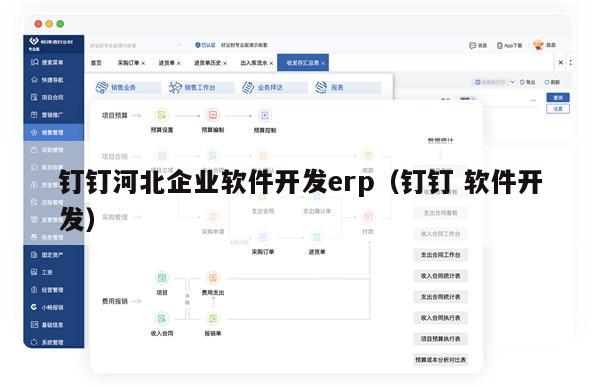 钉钉河北企业软件开发erp（钉钉 软件开发）