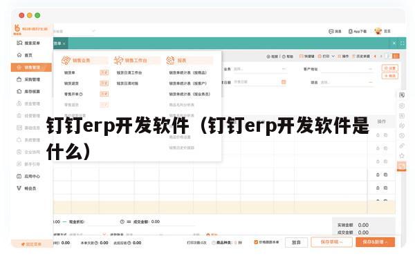 钉钉erp开发软件（钉钉erp开发软件是什么）