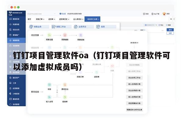 钉钉项目管理软件oa（钉钉项目管理软件可以添加虚拟成员吗）