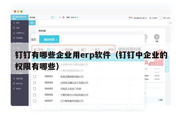 钉钉有哪些企业用erp软件（钉钉中企业的权限有哪些）