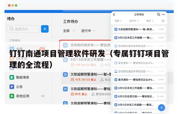 钉钉南通项目管理软件研发（专属钉钉项目管理的全流程）