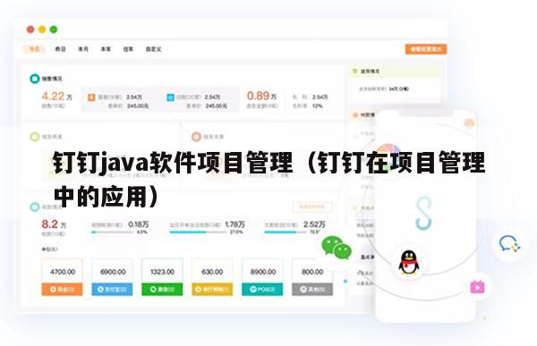 钉钉java软件项目管理（钉钉在项目管理中的应用）