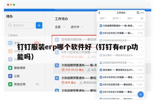 钉钉服装erp哪个软件好（钉钉有erp功能吗）