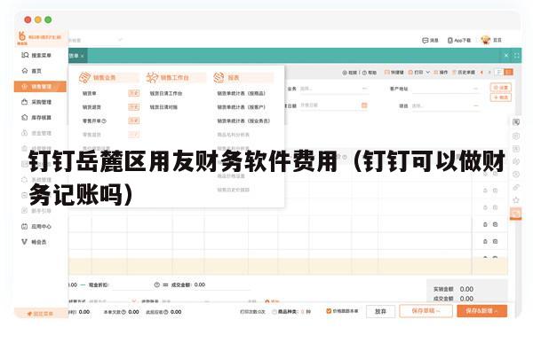 钉钉岳麓区用友财务软件费用（钉钉可以做财务记账吗）