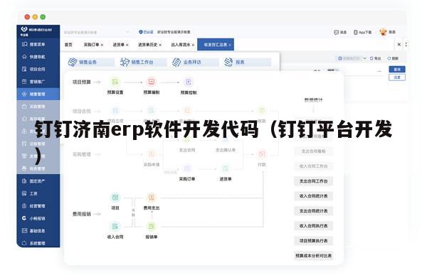 钉钉济南erp软件开发代码（钉钉平台开发）