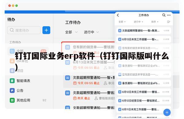 钉钉国际业务erp软件（钉钉国际版叫什么）