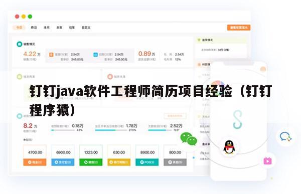 钉钉java软件工程师简历项目经验（钉钉程序猿）