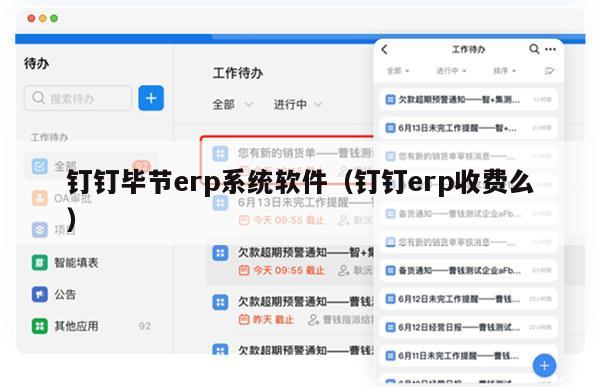 钉钉毕节erp系统软件（钉钉erp收费么）