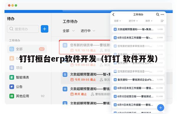 钉钉桓台erp软件开发（钉钉 软件开发）