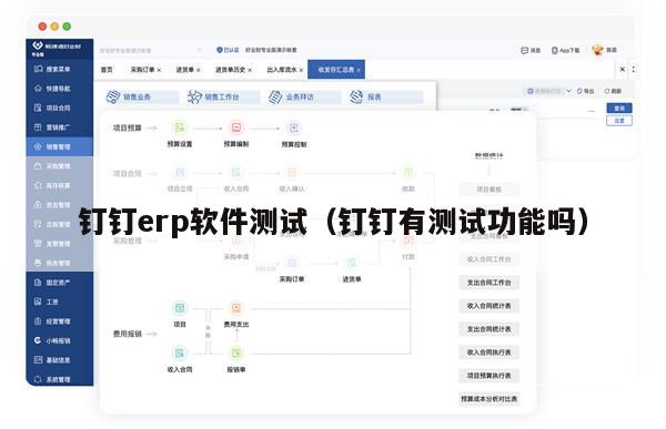 钉钉erp软件测试（钉钉有测试功能吗）