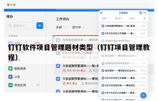 钉钉软件项目管理题材类型（钉钉项目管理教程）