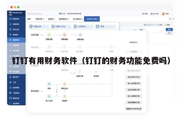钉钉有用财务软件（钉钉的财务功能免费吗）