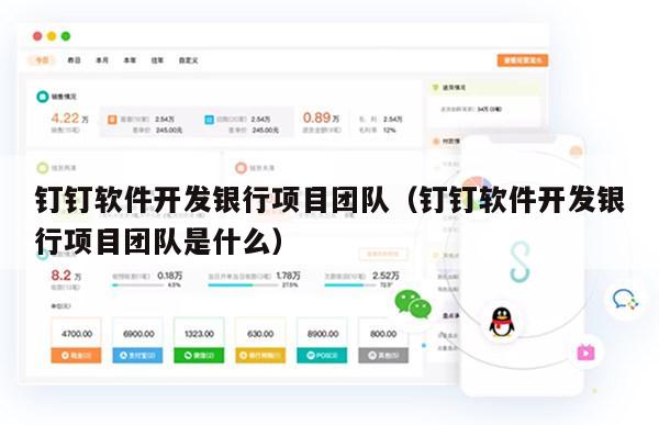 钉钉软件开发银行项目团队（钉钉软件开发银行项目团队是什么）
