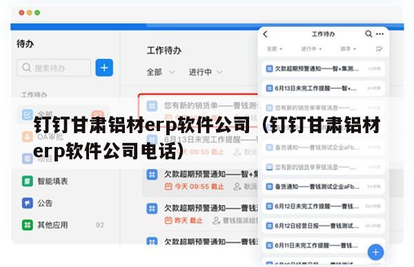 钉钉甘肃铝材erp软件公司（钉钉甘肃铝材erp软件公司电话）