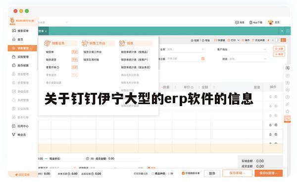 关于钉钉伊宁大型的erp软件的信息