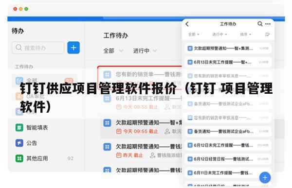 钉钉供应项目管理软件报价（钉钉 项目管理软件）